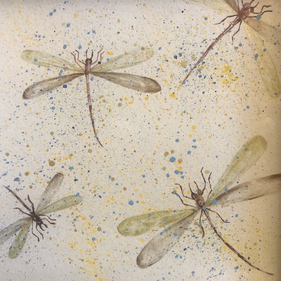 🌟Live Shows Notification🌟 - Picture 3 of 12